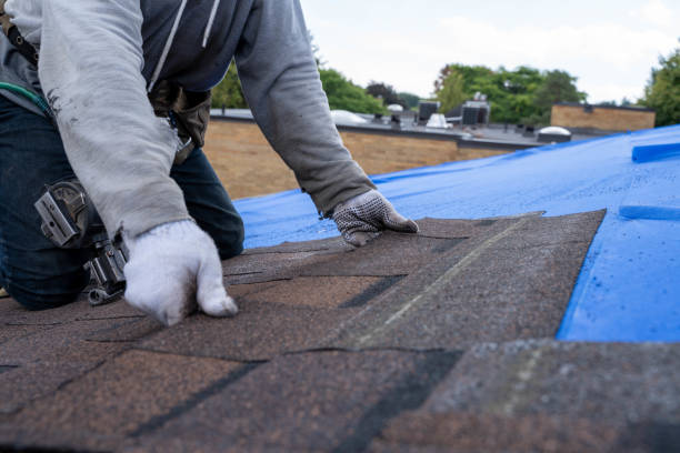 Best Roofing Contractors for Homes  in Crenshaw, MS