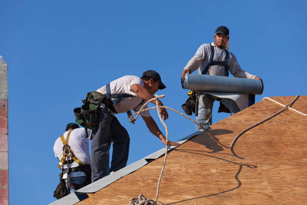 Best Roof Repair Specialists  in Crenshaw, MS